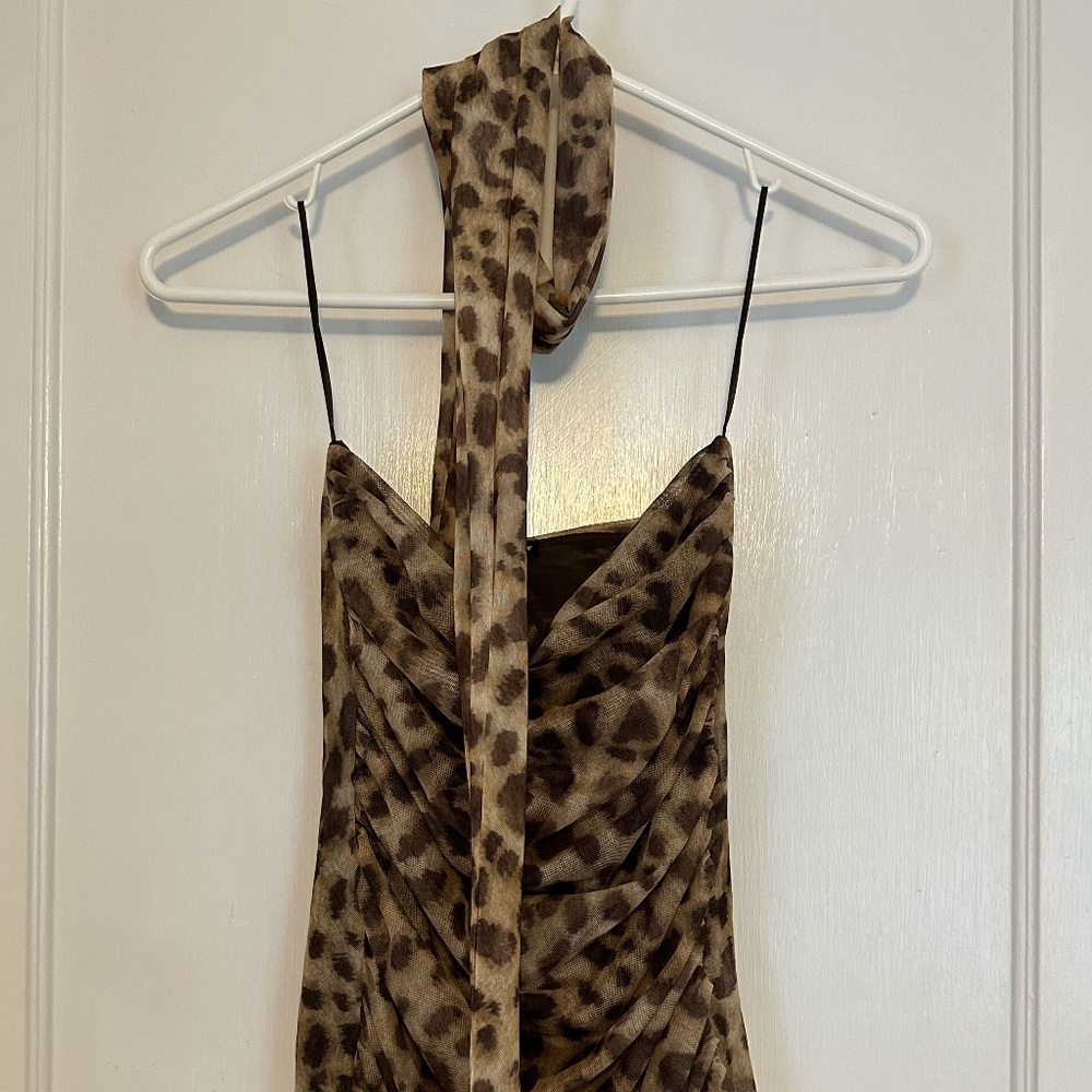 Zara Leopard Mesh Top